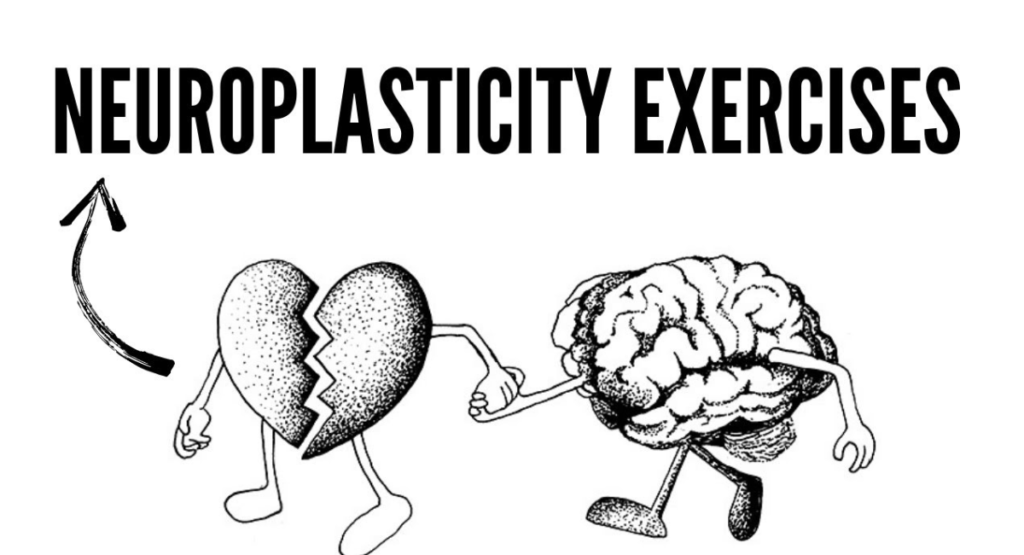 neuroplasticity exercises