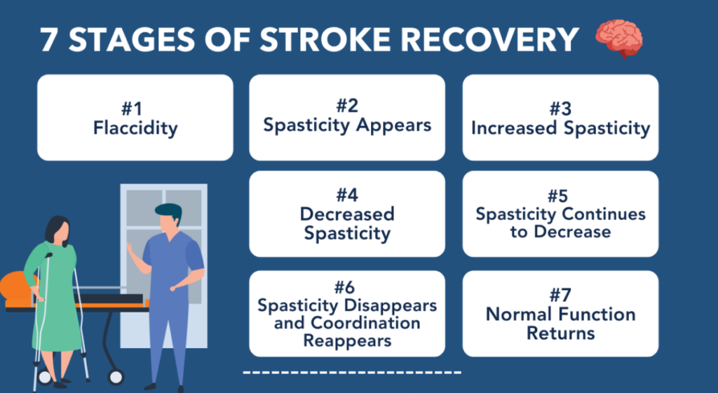 stroke recovery stages