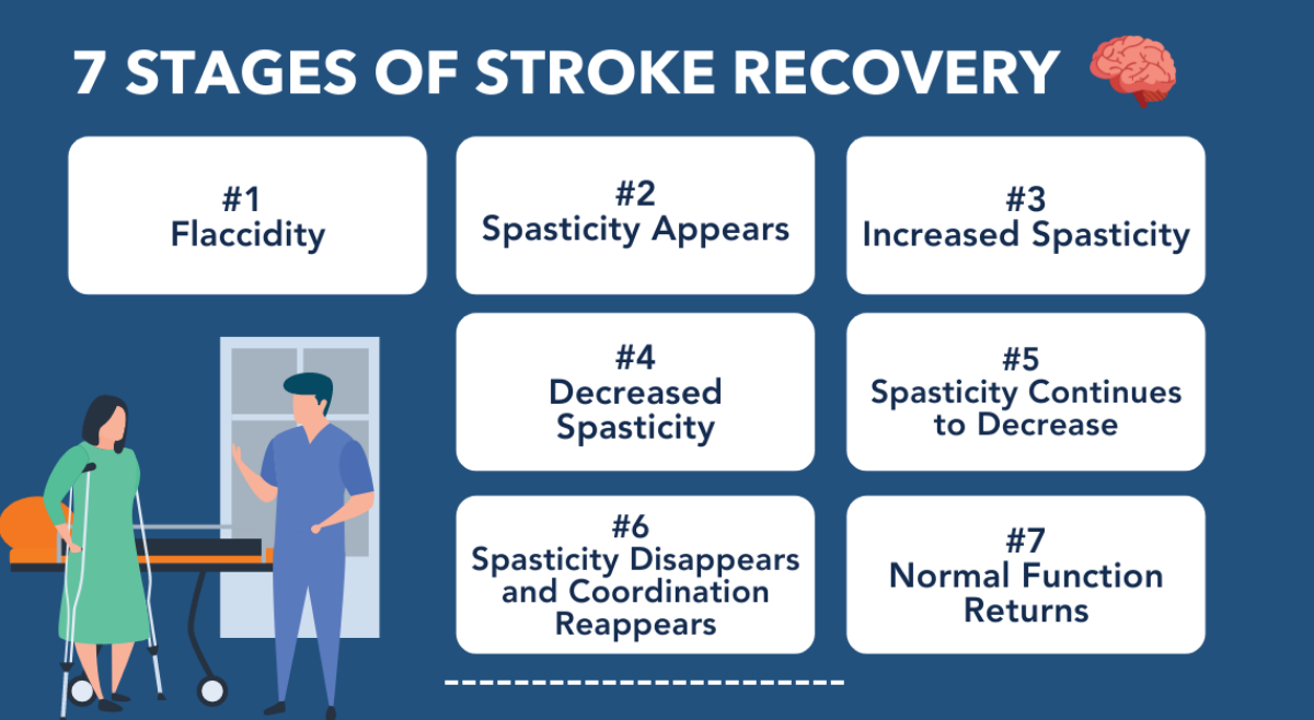 Step By Step Guide To Stroke Recovery Stages Sukino Healthcare 2785