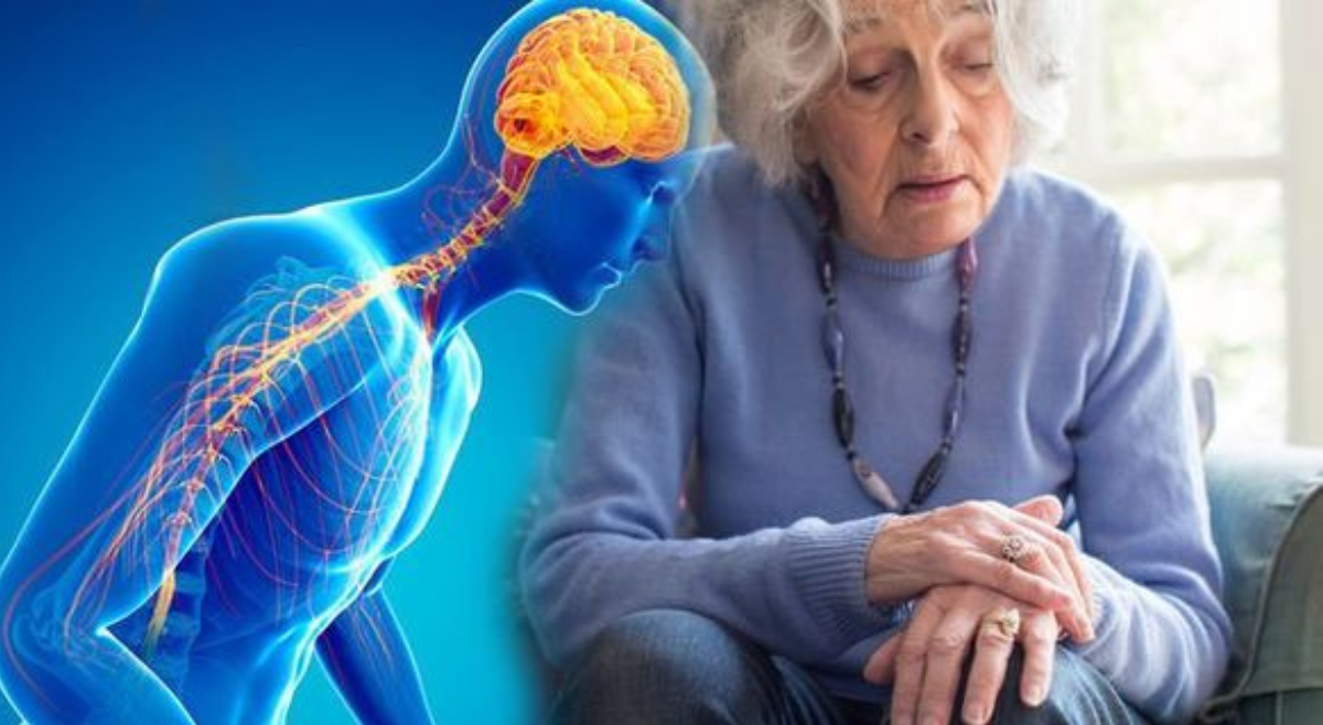 5 Exercises for Parkinson's Disease Rehabilitation Sukino Healthcare