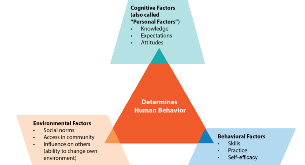 What is Cognitive Theory in Psychology