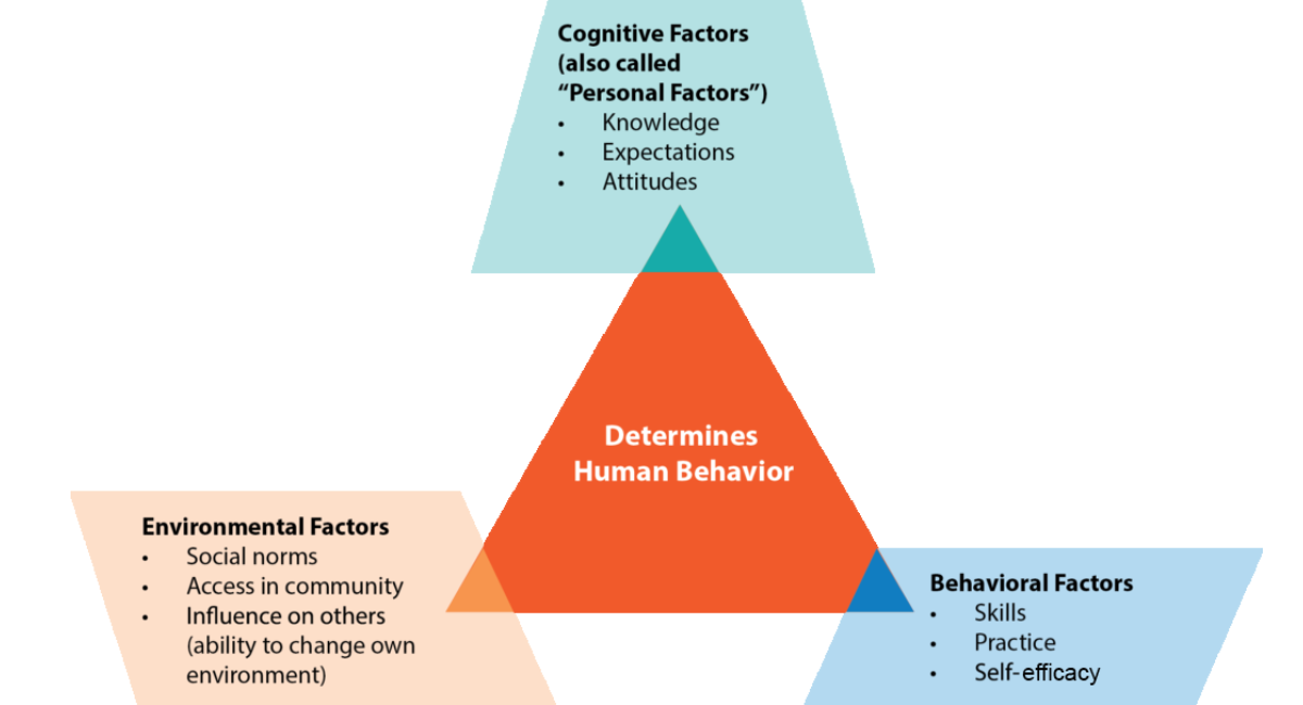 Cognitive theory best sale of behavior