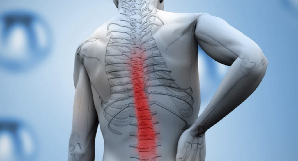 Physiotherapy Rehabilitation for Spinal Cord Injury